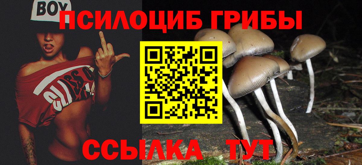 Псилоцибиновые грибы прущие грибы Минусинск